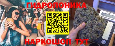 гидра Малгобек