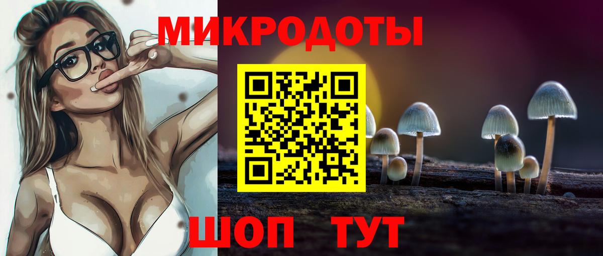 Великий Новгород  Псилоцибиновые грибы Psilocybine cubensis  Вход с VPN 
